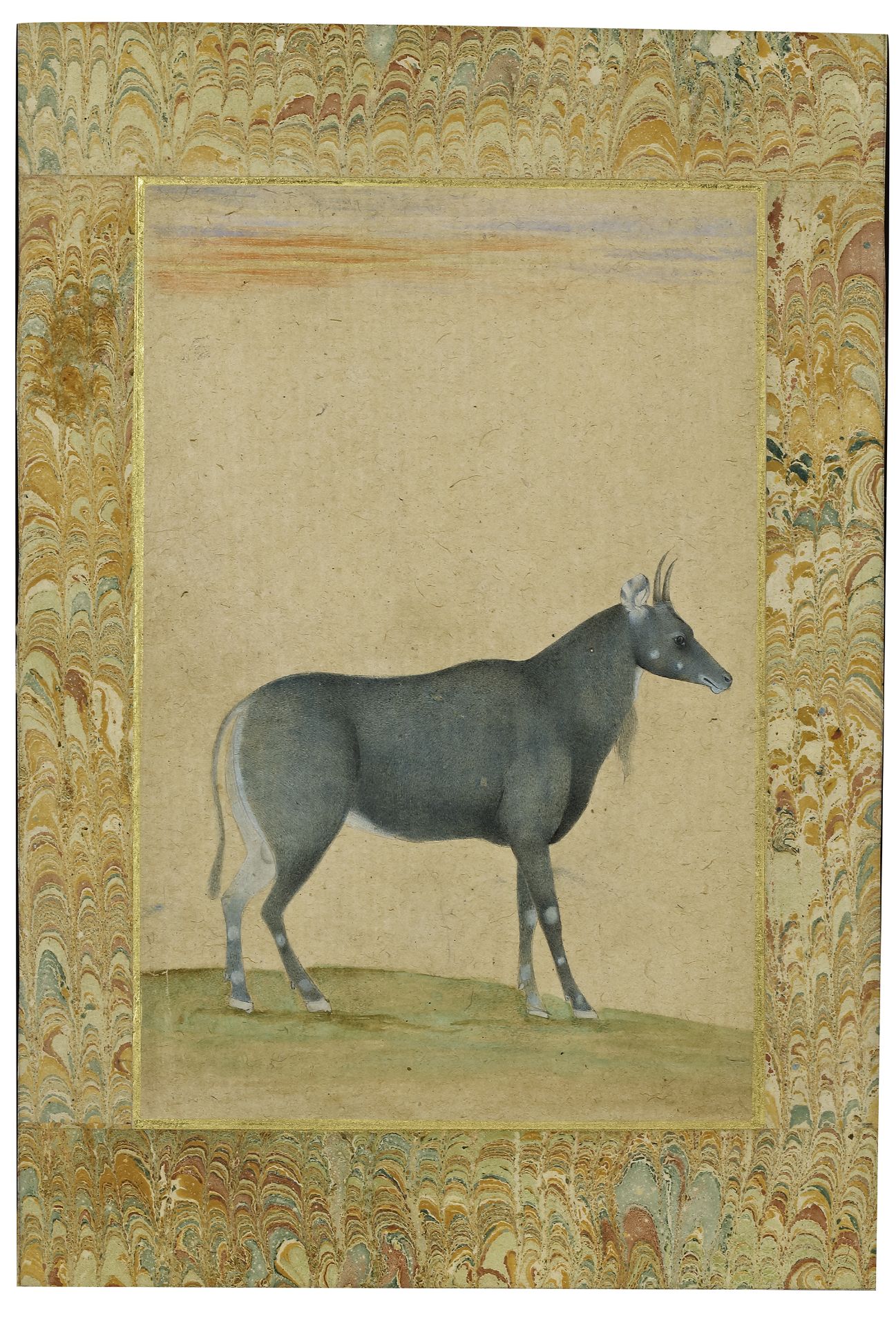 A BLACK BUCK (NILGAI) MUGHAL INDIA, MID-18TH CENTURY