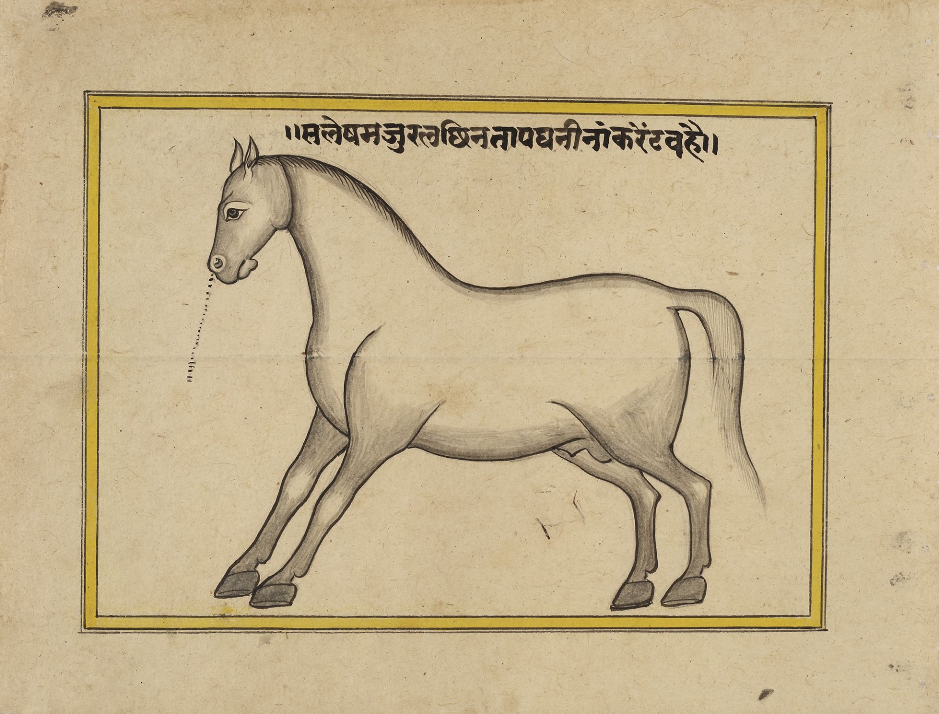 FIFTEEN ILLUSTRATED LEAVES FROM A MANUSCRIPT ON HORSES, INDIA, RAJASTHAN, 19TH CENTURY - Image 10 of 16