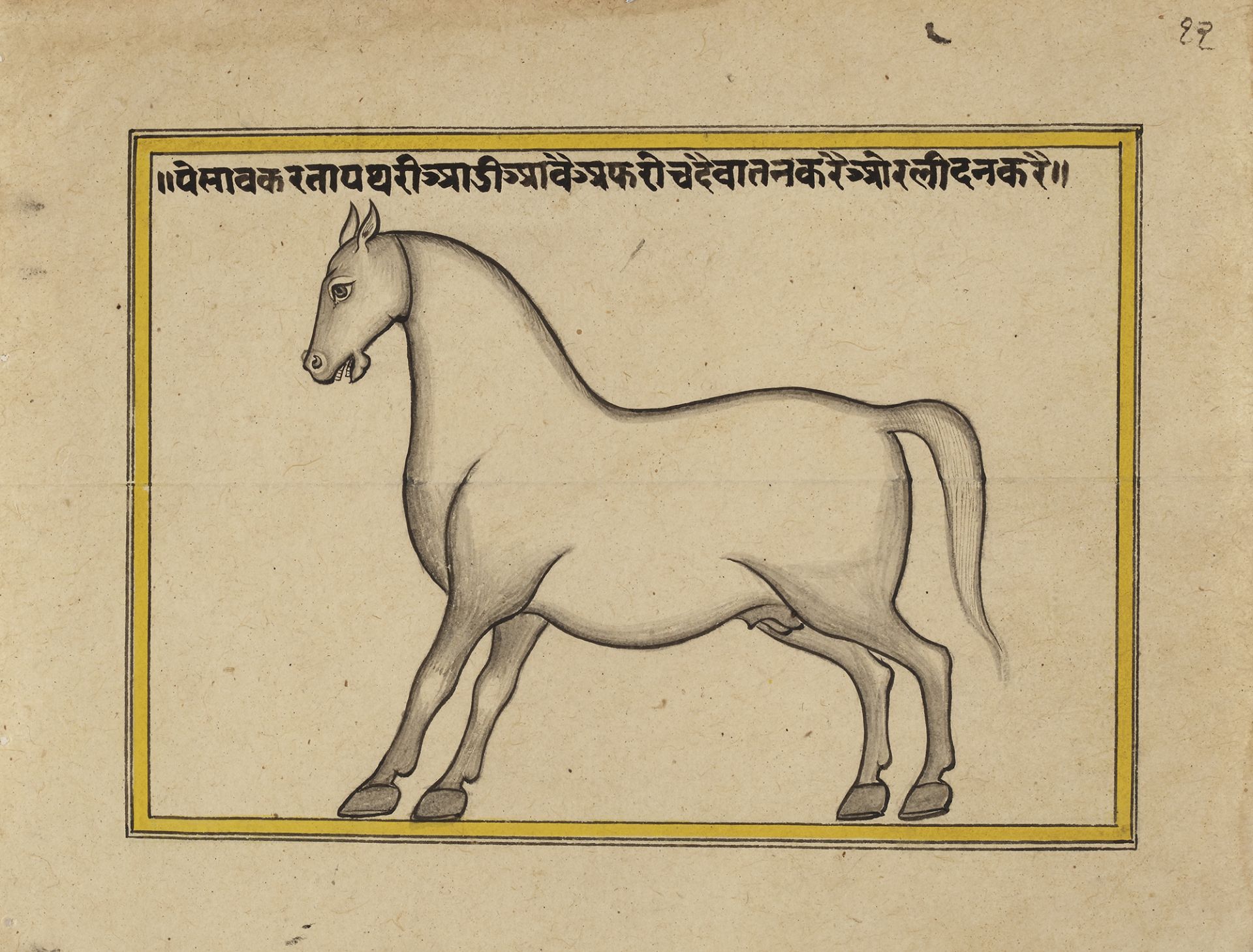 FIFTEEN ILLUSTRATED LEAVES FROM A MANUSCRIPT ON HORSES, INDIA, RAJASTHAN, 19TH CENTURY - Image 15 of 16