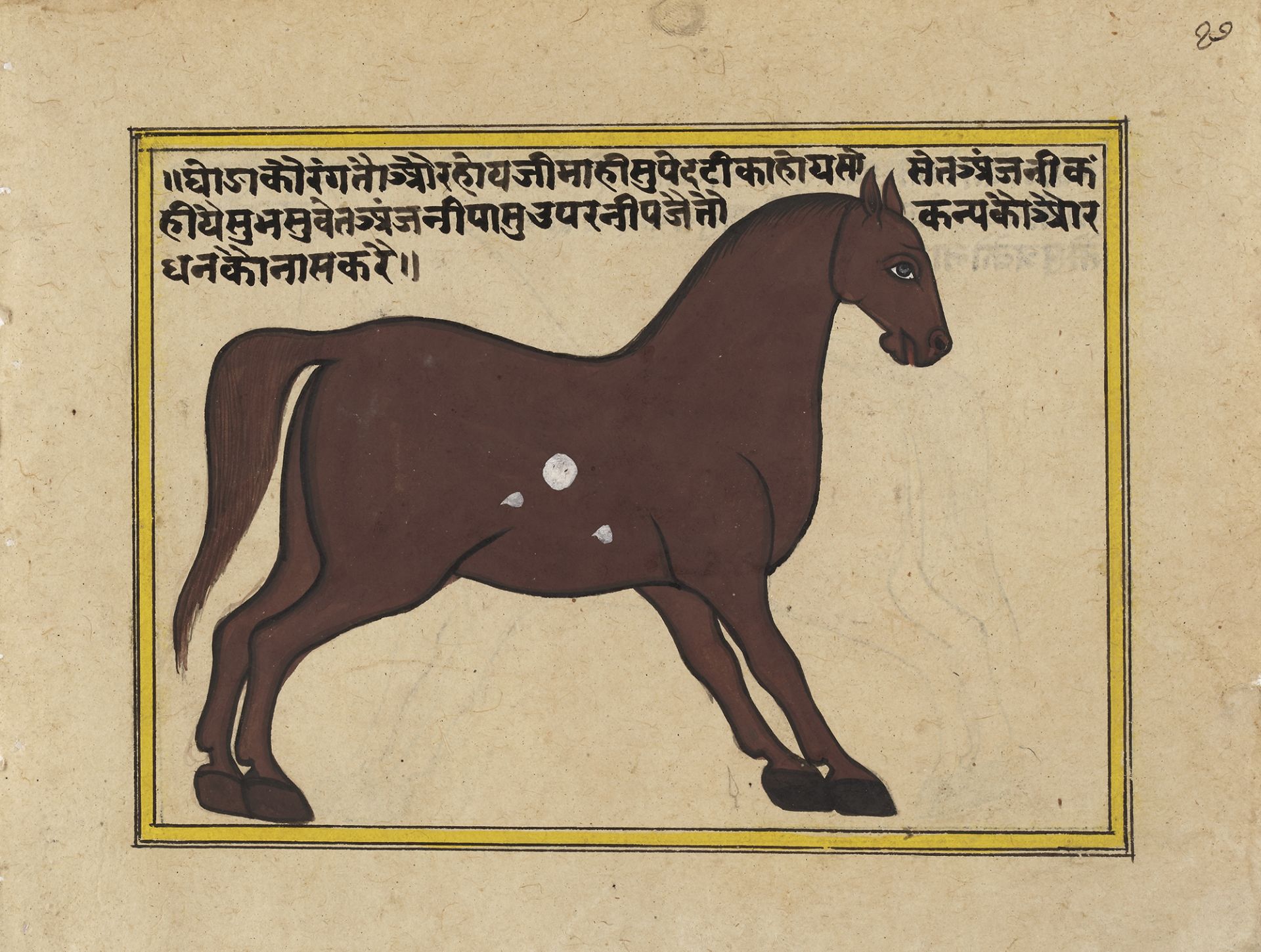 FIFTEEN ILLUSTRATED LEAVES FROM A MANUSCRIPT ON HORSES, INDIA, RAJASTHAN, 19TH CENTURY - Image 13 of 16