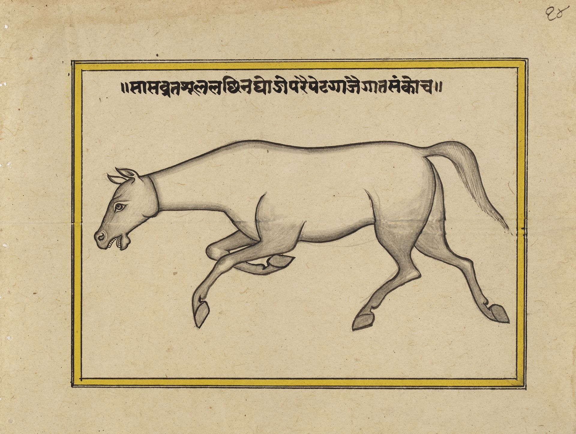 FIFTEEN ILLUSTRATED LEAVES FROM A MANUSCRIPT ON HORSES, INDIA, RAJASTHAN, 19TH CENTURY - Image 11 of 16