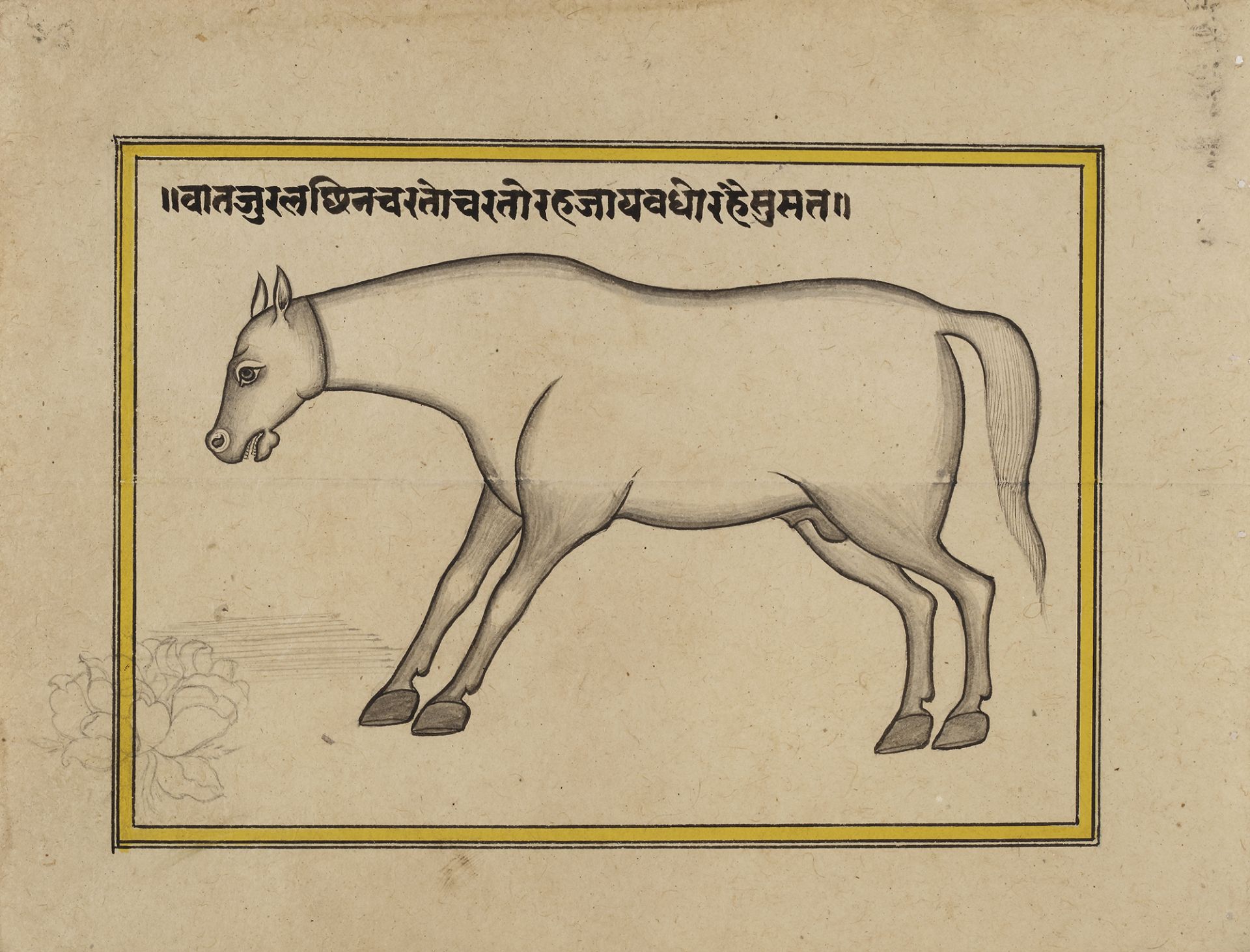 FIFTEEN ILLUSTRATED LEAVES FROM A MANUSCRIPT ON HORSES, INDIA, RAJASTHAN, 19TH CENTURY - Image 8 of 16