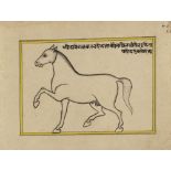 FIFTEEN ILLUSTRATED LEAVES FROM A MANUSCRIPT ON HORSES, INDIA, RAJASTHAN, 19TH CENTURY