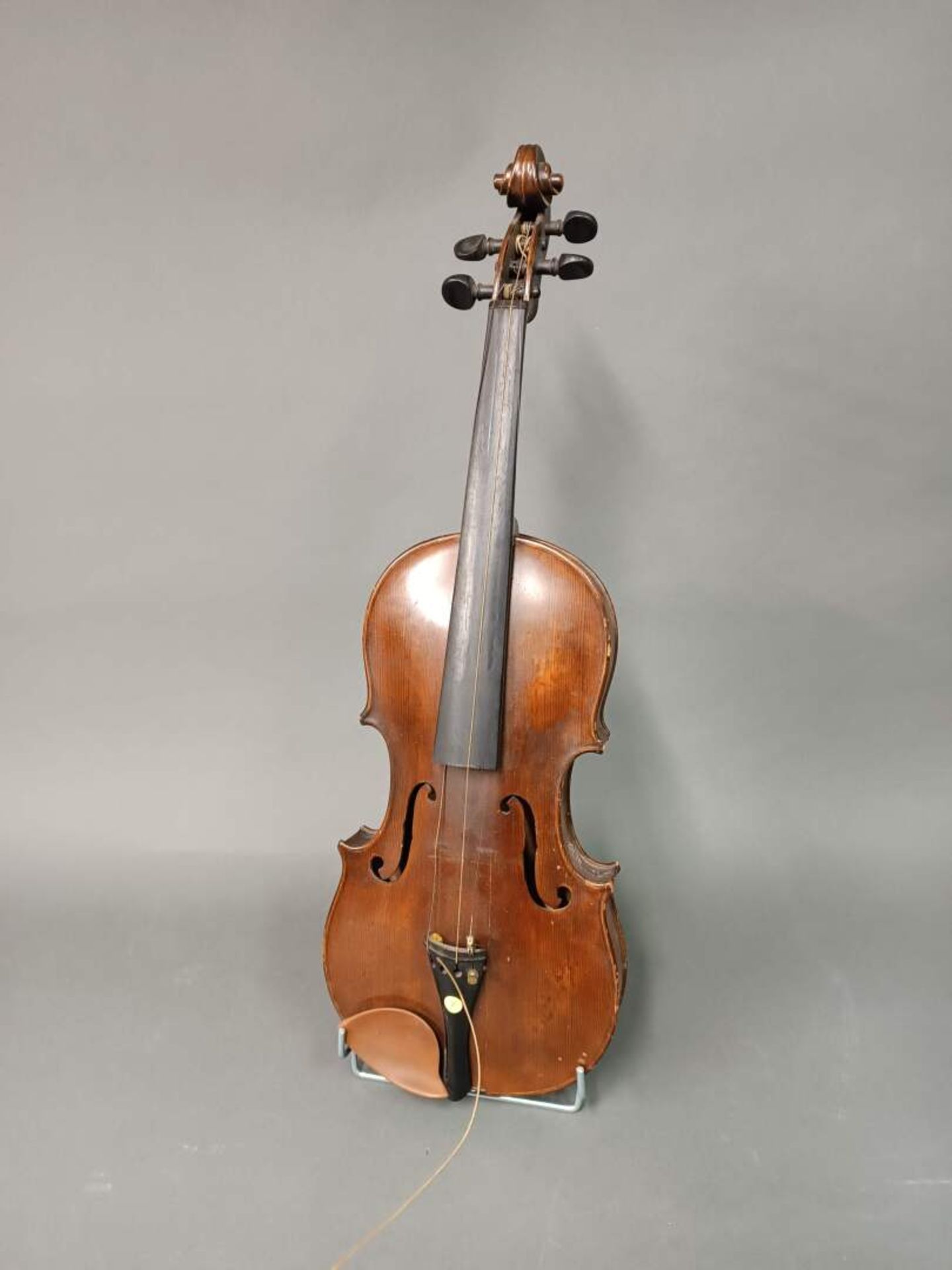 VIOLON