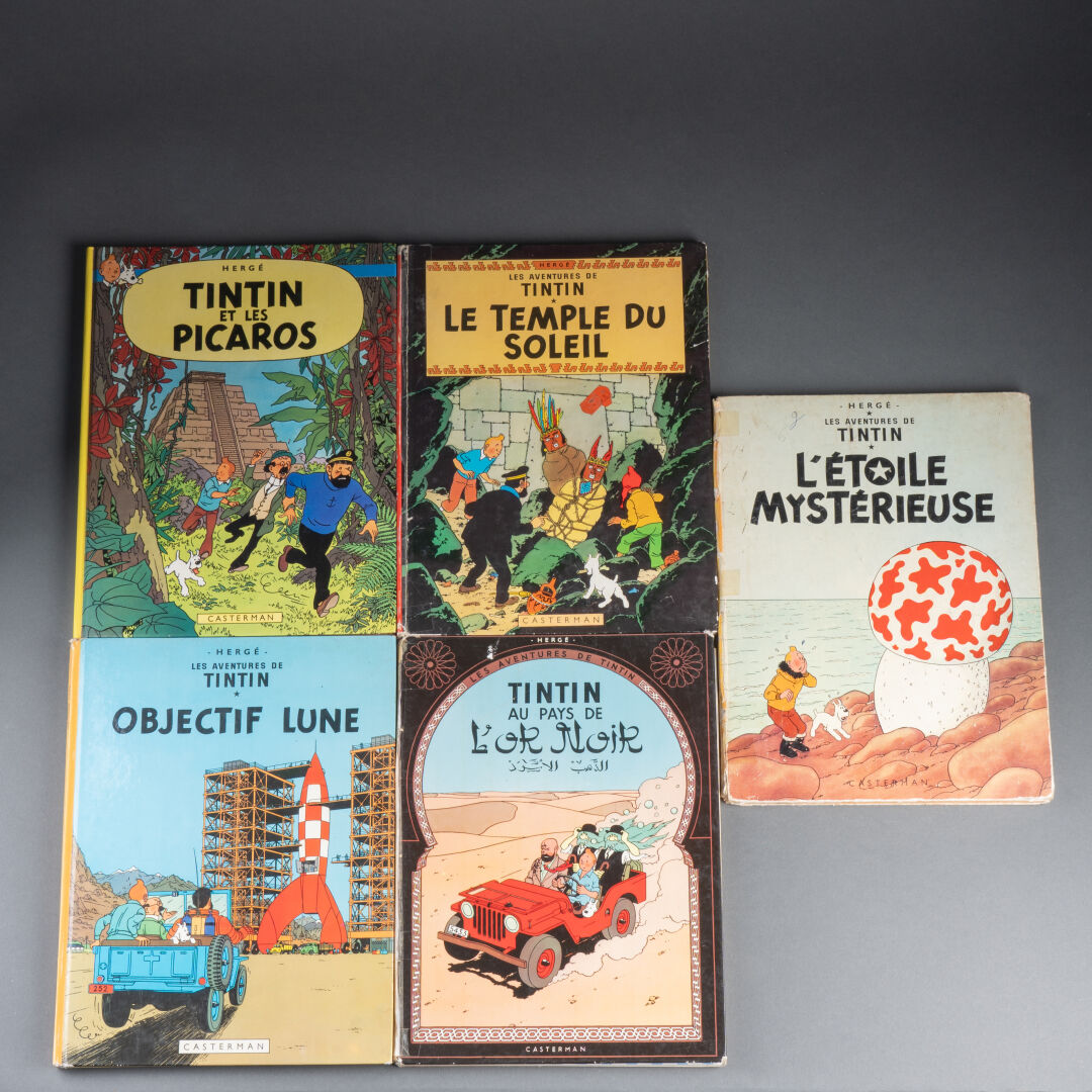 [LES AVENTURES DE TINTIN]