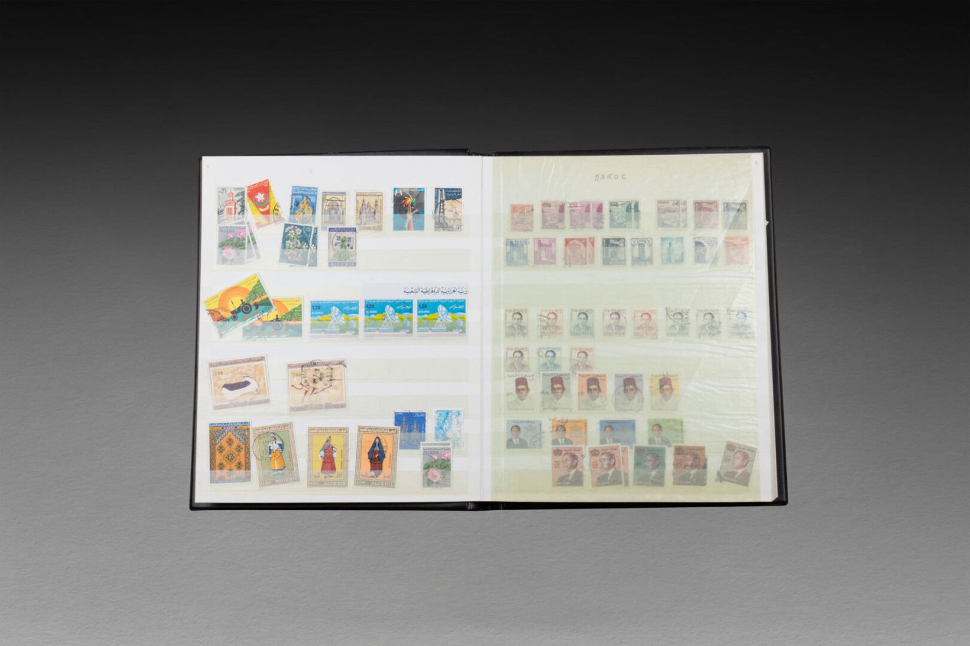 TIMBRES - Image 39 of 57