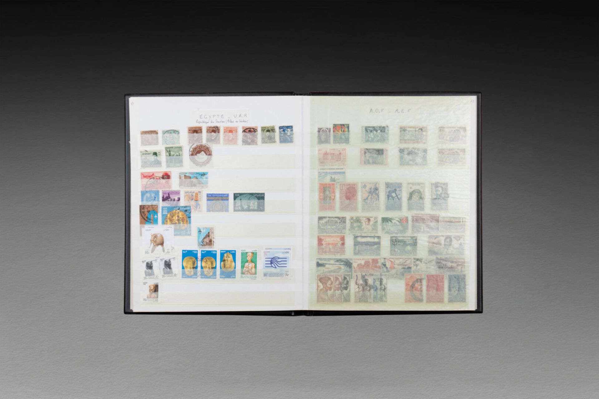 TIMBRES - Image 40 of 57