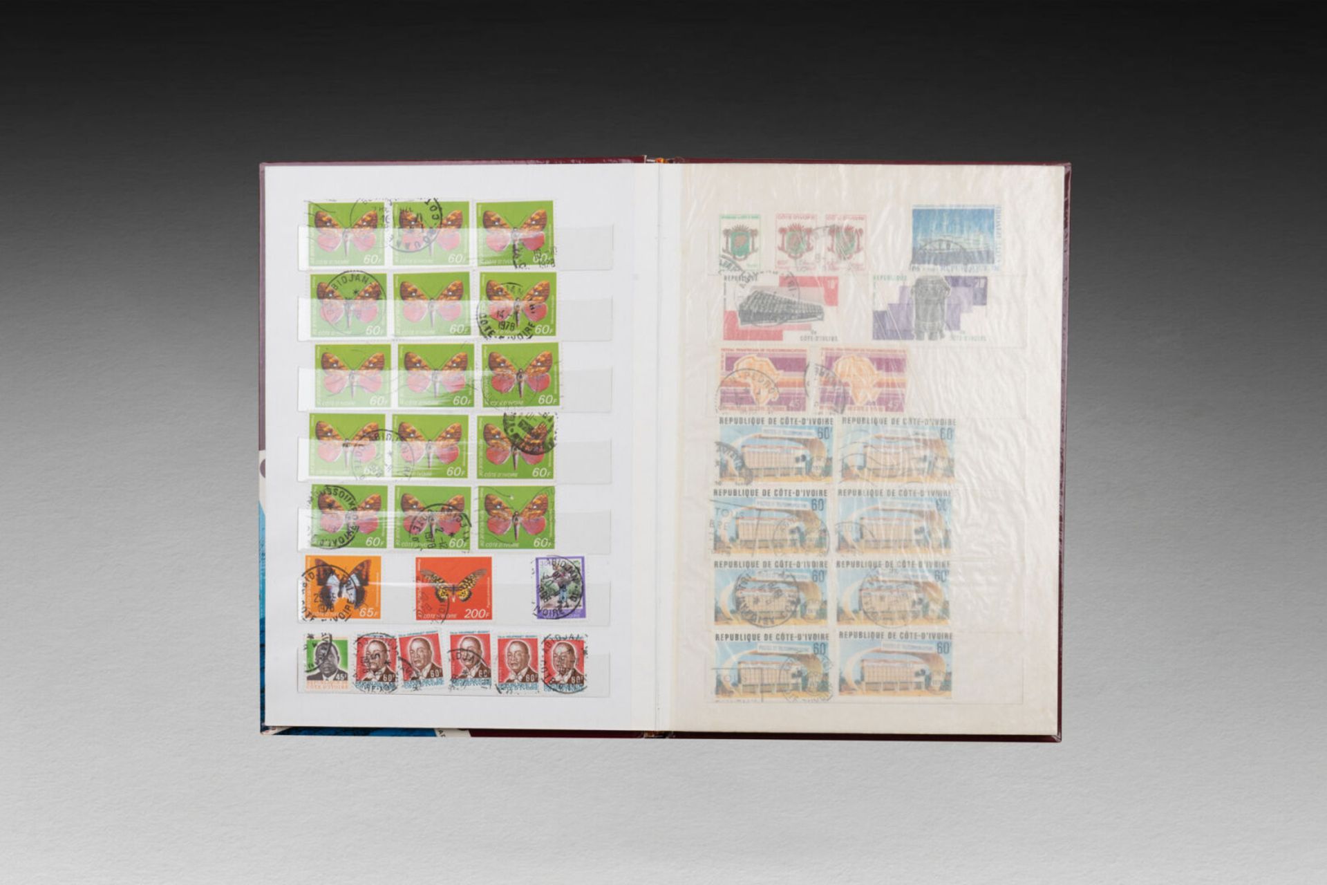 TIMBRES - Image 33 of 57