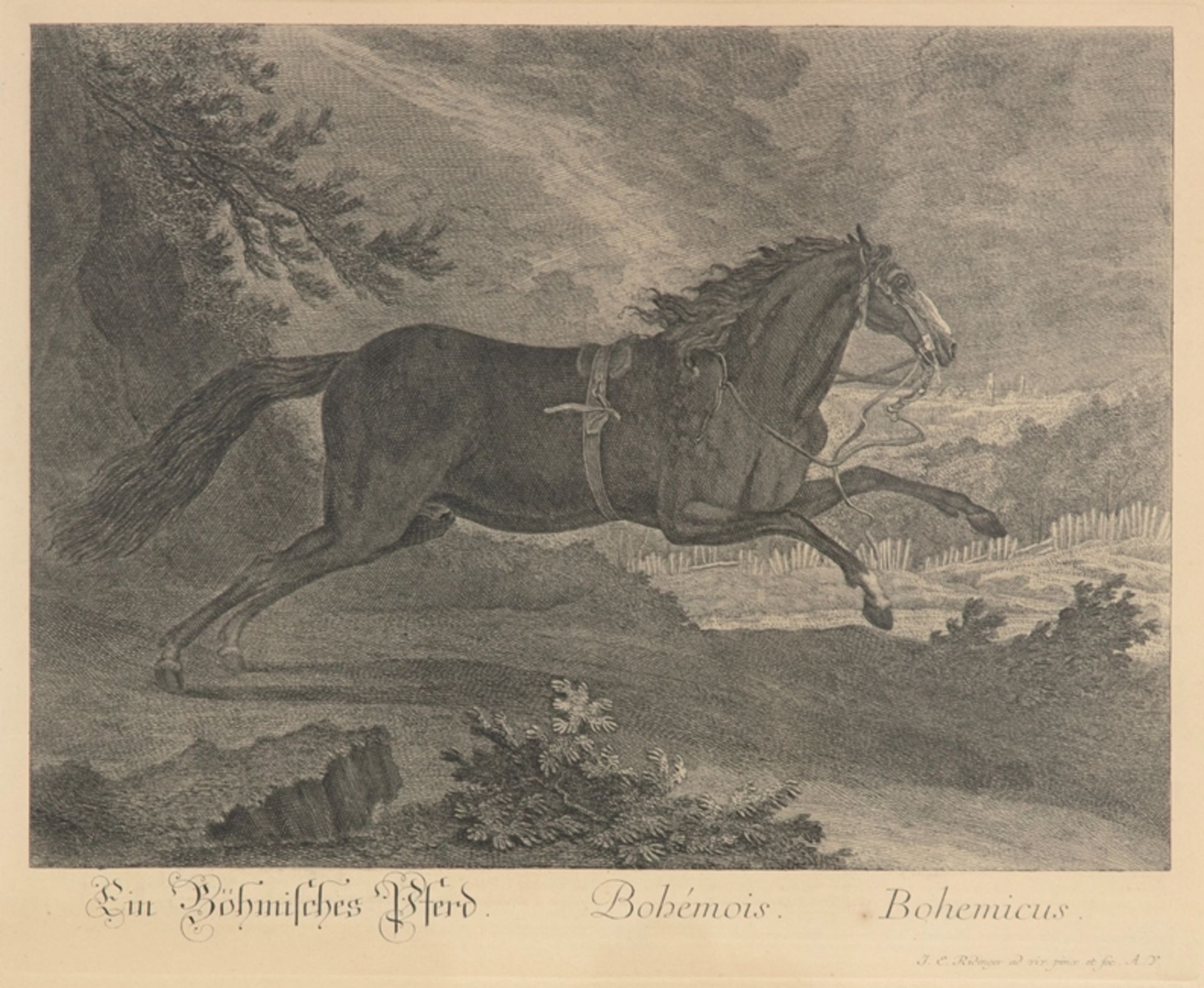 Johann Elias Ridinger, Bohemian Horse, c. 1770