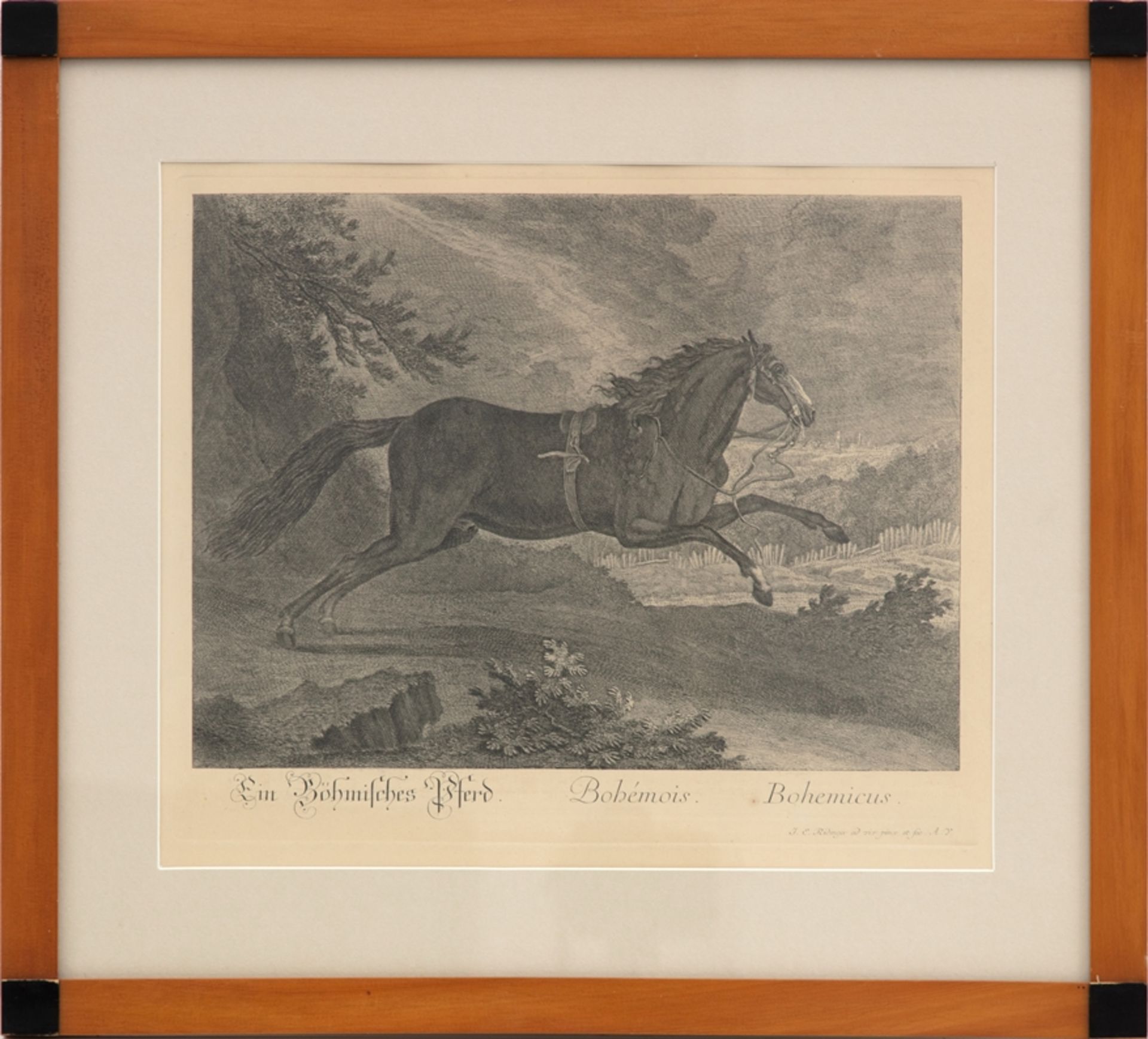 Johann Elias Ridinger, Bohemian Horse, c. 1770 - Image 4 of 4