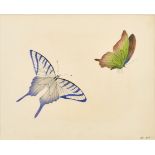 19th Century English School. A Study of Butterflies, Watercolour, Signed with initials MG and