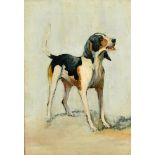 George Paice (1854-1925) British. Study of a Hound, Oil on canvas, 10" x 7" (25.4 x 17.7cm) and a