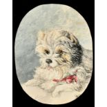 19th Century English School. Study of a Dog, Watercolour, Indistinctly signed, Oval, Unframed 5" x