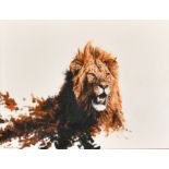 Dharbinder Singh Bamrah (1965-2007) British. A Lion's Head, Oil on canvas, Signed, 14" x 18" (35.5 x