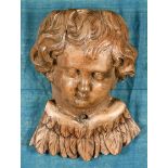 19th Century European School. A Winged Putto, Carved walnut on a blue silk backing within a carved