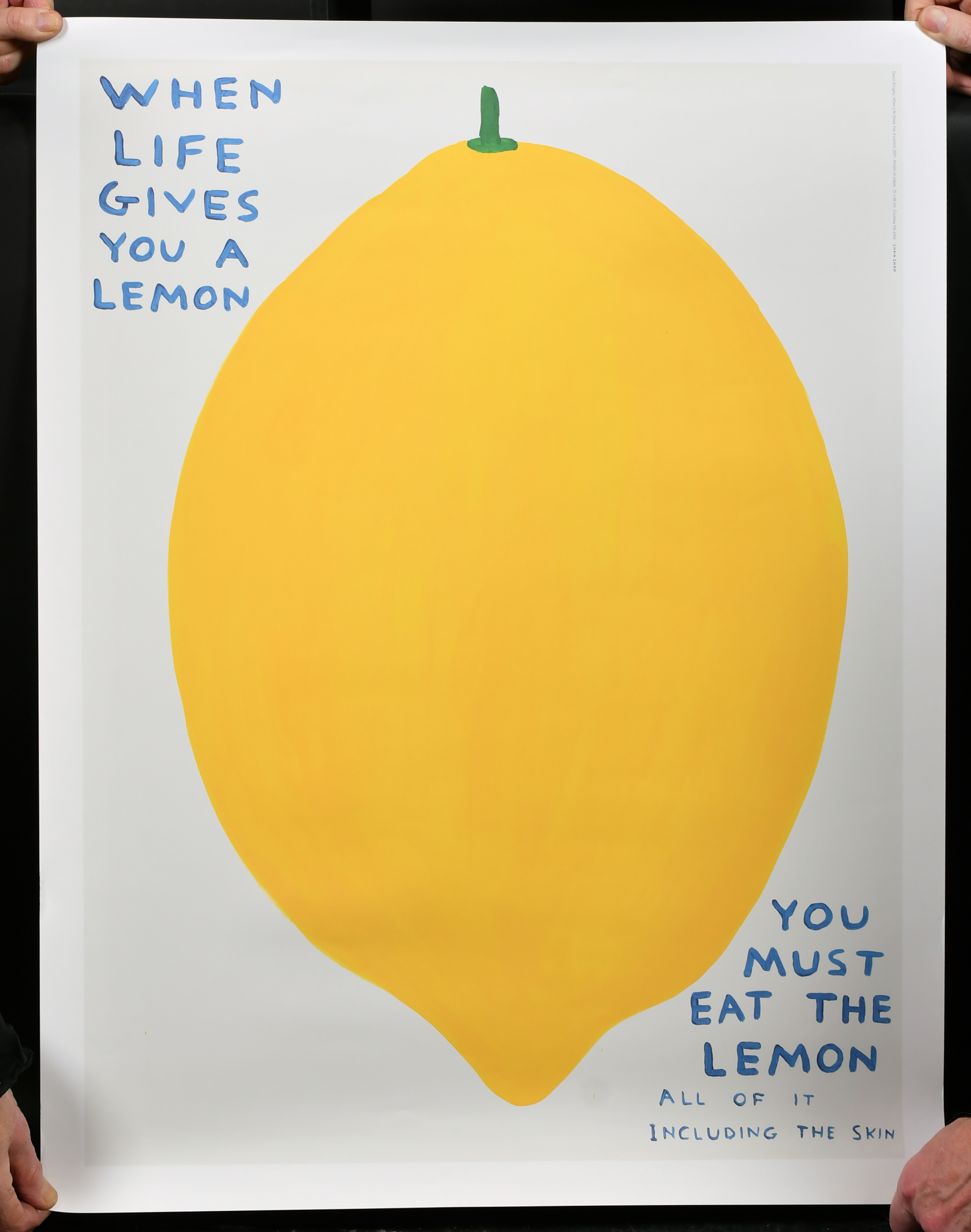 David Shrigley (1968- ) British. "When Life Gives you a Lemon", Lithograph, Unframed 29" x 21.25" ( - Image 2 of 2