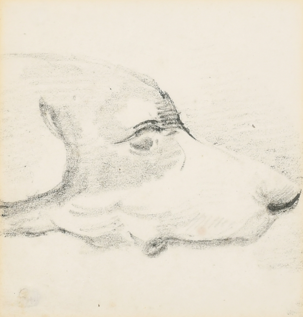 Attributed to Henry Alken (1774-1850) British. 'Head of a Hound', Pencil, Inscribed on a label