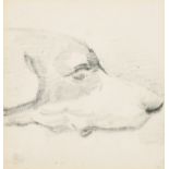 Attributed to Henry Alken (1774-1850) British. 'Head of a Hound', Pencil, Inscribed on a label