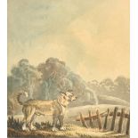 Samuel Howitt (1756-1822) British. 'Dog in a Landscape, Watercolour, Inscribed on a label verso, 3.