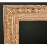 17th Century English School. A Carved Giltwood Acorn and Oakleaf Frame, rebate 22" x 12.25" (55.8