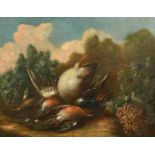 18th Century Italian School, Still Life with Dead Birds, Oil on canvas, 14.25" x 18" (36.2 x 45.7cm)