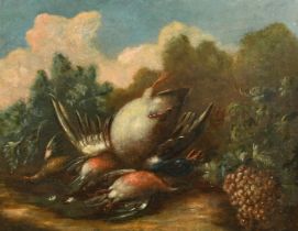 18th Century Italian School, Still Life with Dead Birds, Oil on canvas, 14.25" x 18" (36.2 x 45.7cm)