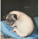 Alethea Garstin (1894-1979) British. "Precious", Study of a Pug, Watercolour, Signed and