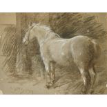 Alfred James Munnings (1878-1959) British. 'Augereau', Chalk, Signed with initials and dated 1907