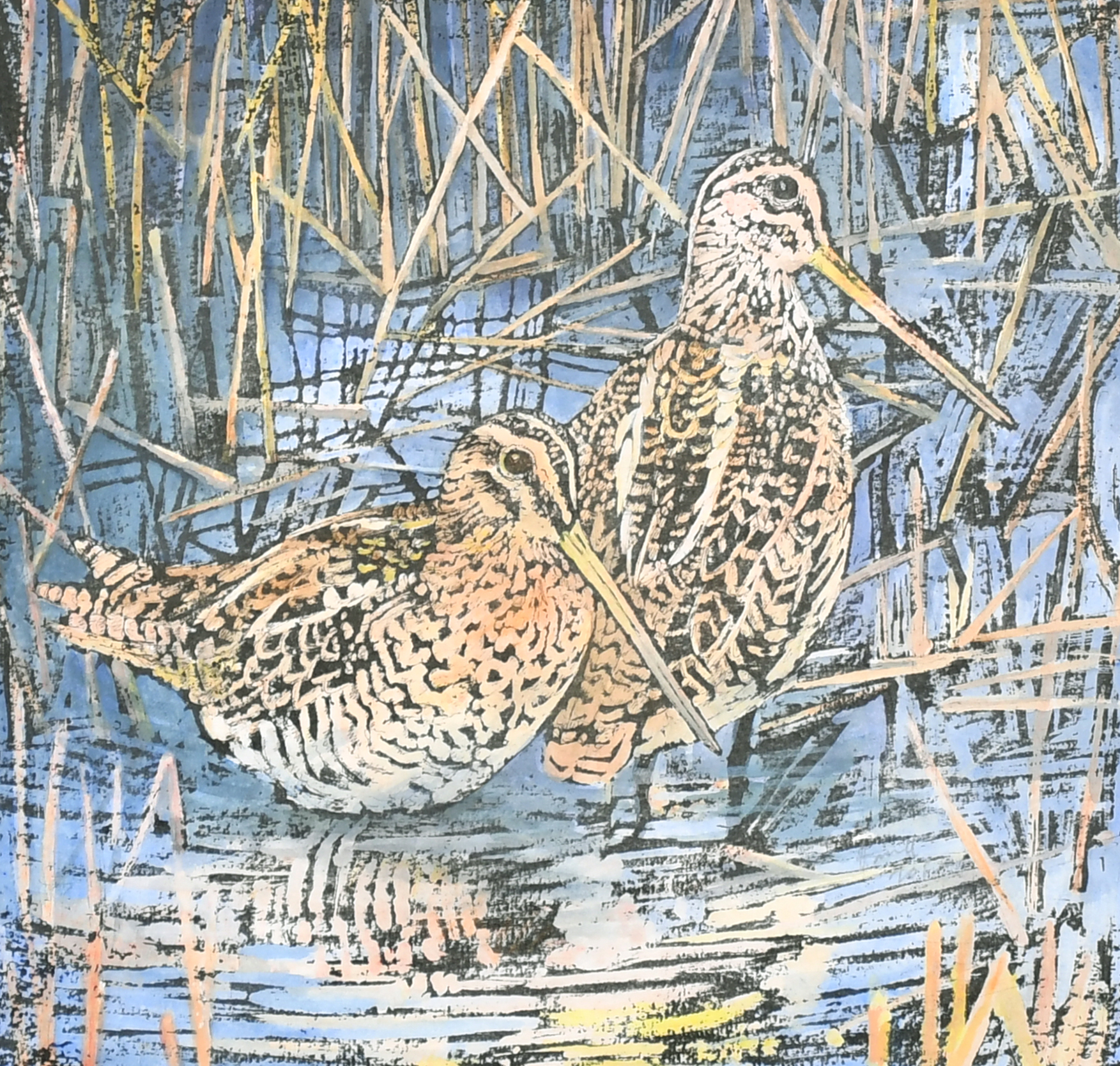 Emma Faull (1956- ) British. "Snipe", Watercolour, ink & gouache, 11" x 11.75" (28 x 29.8cm).