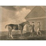 After George Stubbs (1724-1806) British. "Eclipse", Mezzotint, Engraved by T Burke, 17" x 22.25" (