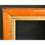 19th Century English School. A Cushioned Bird's Eye Maple Frame, with a gilt slip, rebate 48" x