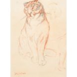 Steinlen (19th-20th Century) European. Study of a Tiger, Pencil and Chalk, Signed, Mounted, unframed