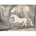 After James Ward (1769-1859) British "A Persian Horse", Engraved by James Ward, 13.25" x 17.25"