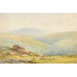 Harry Sutton Palmer (1854-1933) British. Sheep in a Moorland Landscape, Watercolour, Signed and