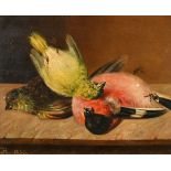 E R (19th Century) British. Still Life of Song Birds, Oil on canvas laid down, Signed with initials