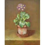 Jose Escofet (1930- ) Spanish. "Purple and White Auricula in Clay Pot, 1989", Gouache, Signed, and