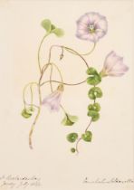 Early 19th Century English School. A Set of Twenty Flower Studies, Watercolour, Inscribed, Each