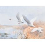 Roland Green (1890-1972) British. "Mute Swans", Watercolour, Signed, and inscribed verso, 10.75" x