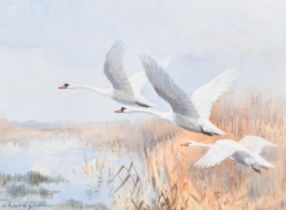 Roland Green (1890-1972) British. "Mute Swans", Watercolour, Signed, and inscribed verso, 10.75" x