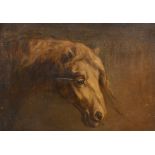 Attributed to Theodore Gericault (1791-1824) French. Study of a Horse's Head, Oil on canvas, 15" x