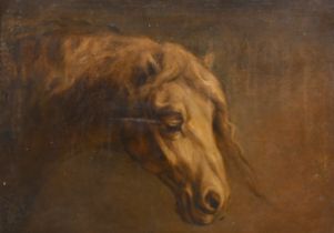 Attributed to Theodore Gericault (1791-1824) French. Study of a Horse's Head, Oil on canvas, 15" x
