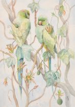 Emma Faull (1956- ) British. "Ring Necked Parakeets", Watercolour and ink, Signed and dated '85, and