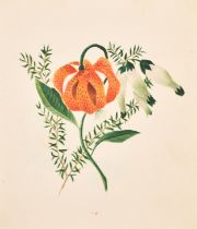 Agnes Strickland (19th Century) British. An Album Containing Watercolours of still life studies,