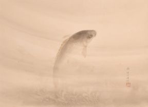 20th Century Chinese School. A Study of a Carp, Watercolour, Signed with a stamp, 17" x 23" (43.2