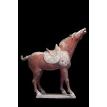 CHINESE TANG DYNASTY TERRACOTTA HORSE - TL TESTED