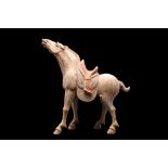 CHINESE TANG DYNASTY TERRACOTTA HORSE - TL TESTED