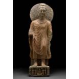 LARGE GANDHARAN SCHIST STANDING BUDDHA WITH HALO