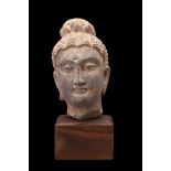 GANDHARAN SCHIST HEAD OF BUDDHA