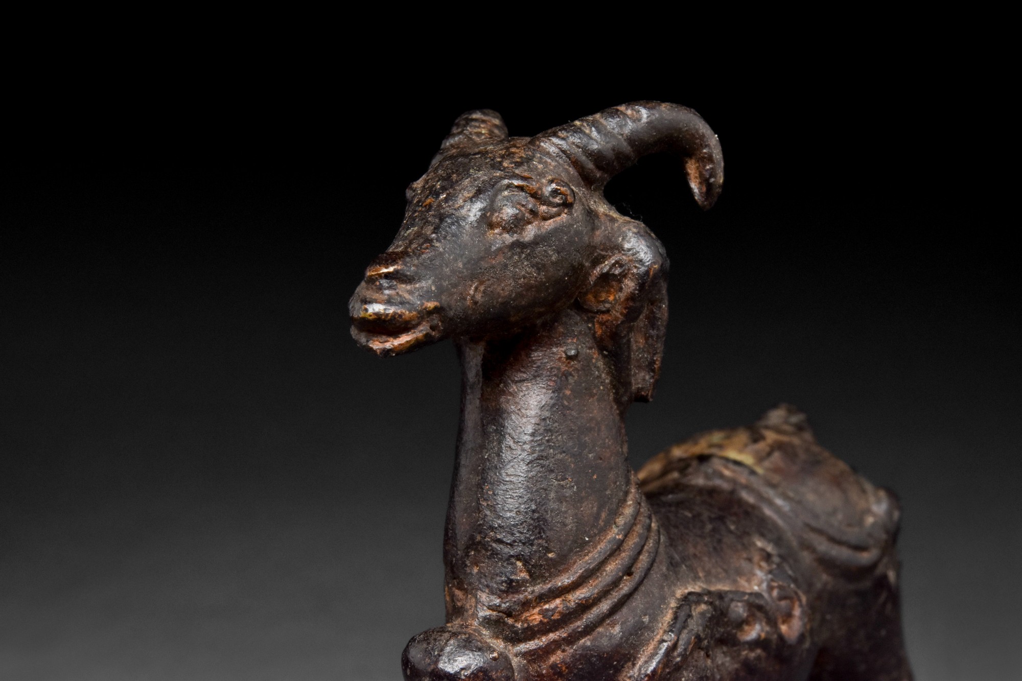 UMAYYAD COPPER IBEX - Image 5 of 6