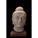 GANDHARAN SCHIST OVER THE LIFESIZE HEAD OF BUDDHA